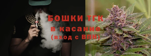 ГАЛЛЮЦИНОГЕННЫЕ ГРИБЫ Семёнов