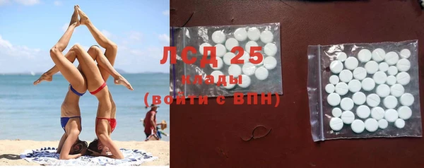 ГАЛЛЮЦИНОГЕННЫЕ ГРИБЫ Семёнов