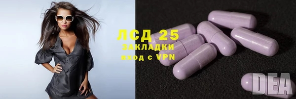 ГАЛЛЮЦИНОГЕННЫЕ ГРИБЫ Семёнов
