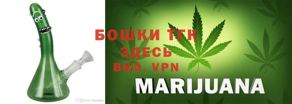 ГАЛЛЮЦИНОГЕННЫЕ ГРИБЫ Семёнов