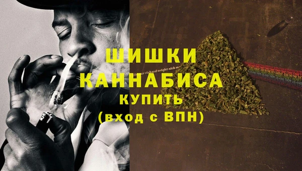 ГАЛЛЮЦИНОГЕННЫЕ ГРИБЫ Семёнов