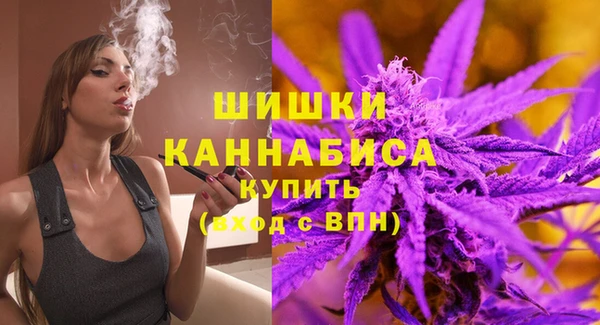 ГАЛЛЮЦИНОГЕННЫЕ ГРИБЫ Семёнов