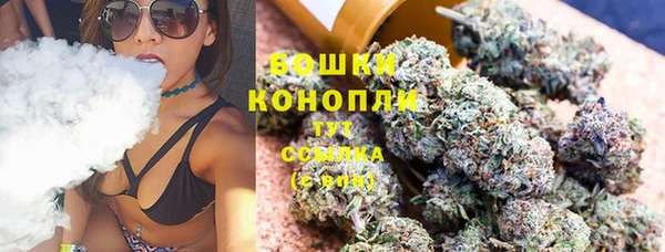ГАЛЛЮЦИНОГЕННЫЕ ГРИБЫ Семёнов