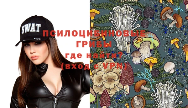 ГАЛЛЮЦИНОГЕННЫЕ ГРИБЫ Семёнов