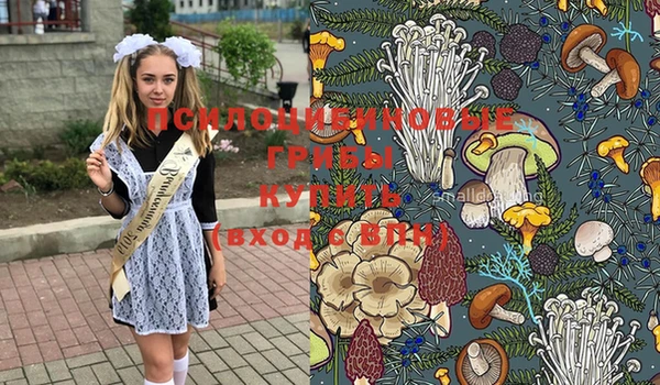 ГАЛЛЮЦИНОГЕННЫЕ ГРИБЫ Семёнов
