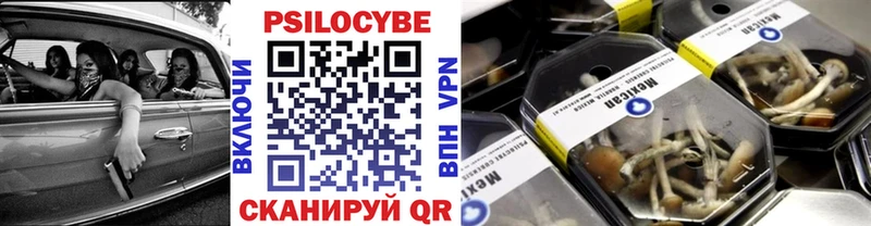 Псилоцибиновые грибы MAGIC MUSHROOMS  Купить где  Красноярск 